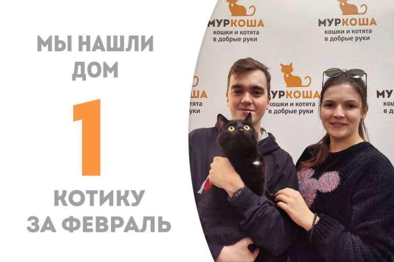 Фокстрот отправился в домашнюю жизнь!