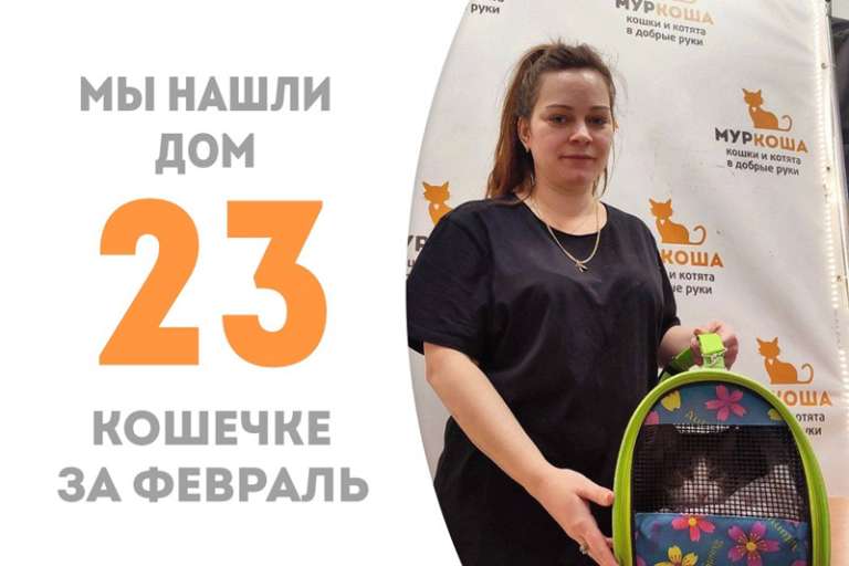 Лапушка Фруктис обрела дом у своего доброго куратора!