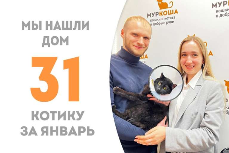 Чуть больше месяца потребовалось очаровательному Гардену для поиска своей семьи!