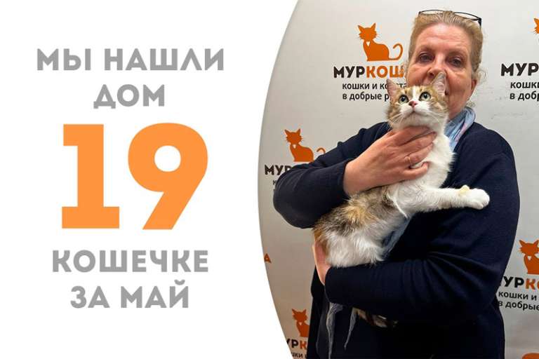 Гармошка нашла себе хозяйку!