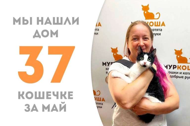 Головоломка уезжает домой, не пробыв у нас и двух месяцев!