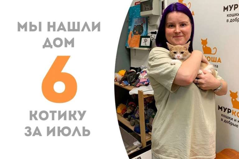 Меньше месяца понадобилось Гребешку, чтобы встретить свою добрую хозяйку!
