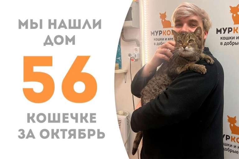 Нежная Гвоздика становится домашней!