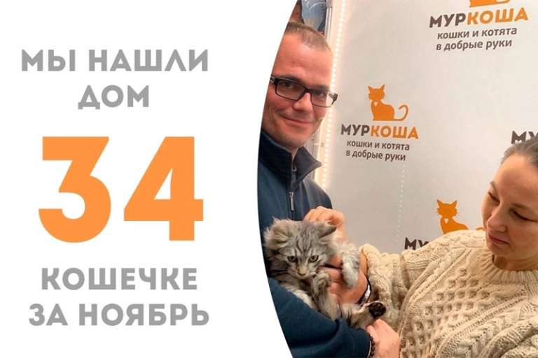 Каберне провела в приюте всего неделю и уже отправилась домой!