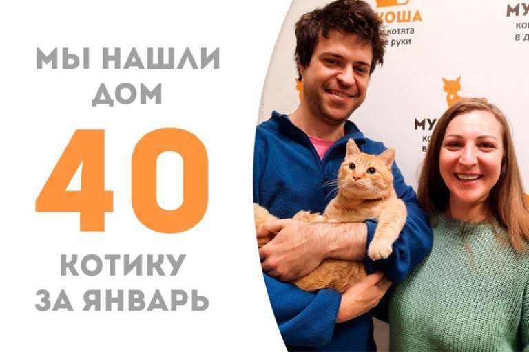 Каперс стал домашним!