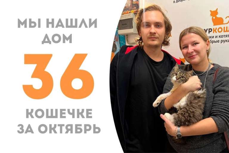 Изысканная Карбонара обретает домашнее счастье!