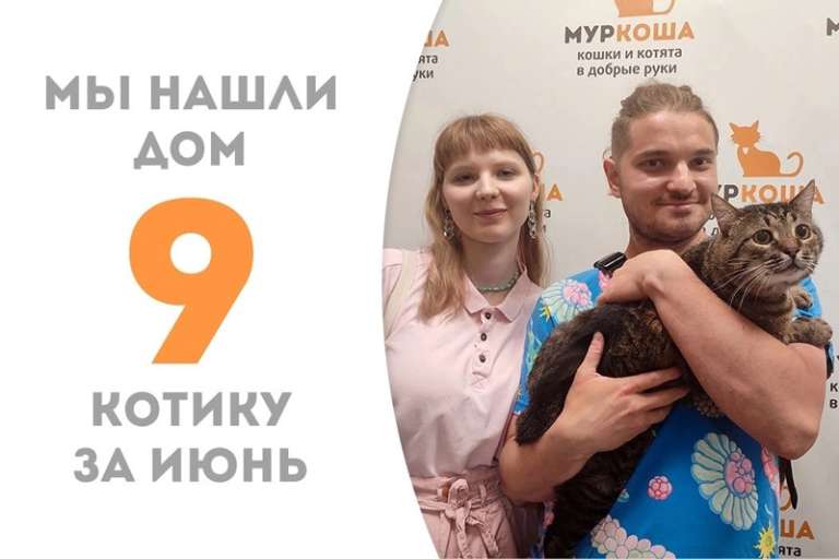 Каштанчик отправляется в семью!