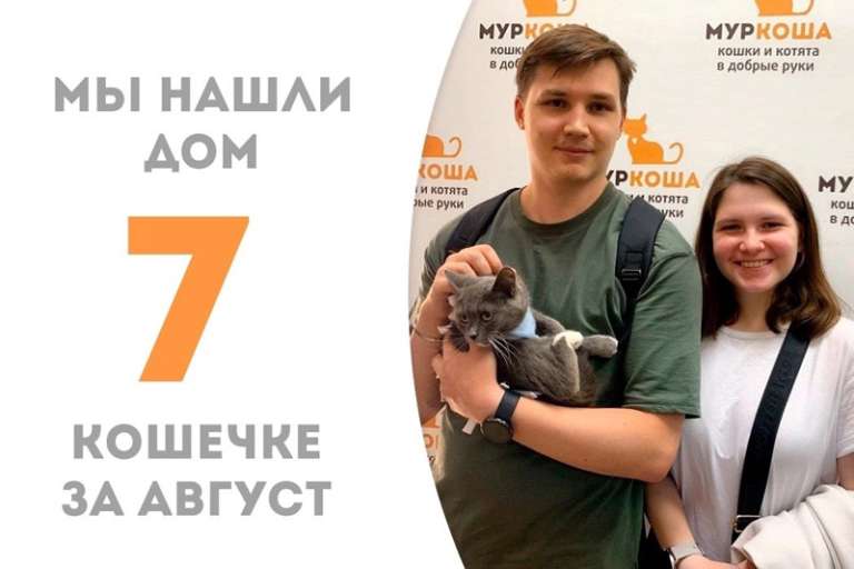 Катапульта отправилась в домашнюю жизнь!
