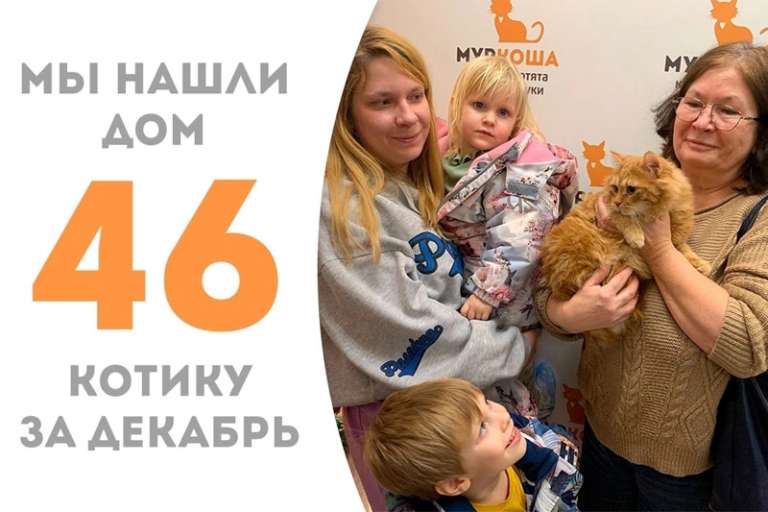 Шикарный Керрот встретил своих людей!