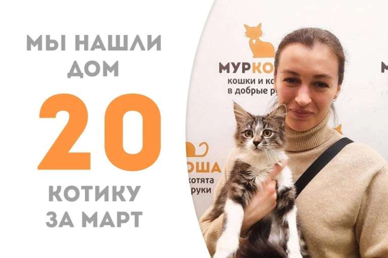 Малыш Хелиодор, пробыв менее трёх недель в приюте собрался домой!