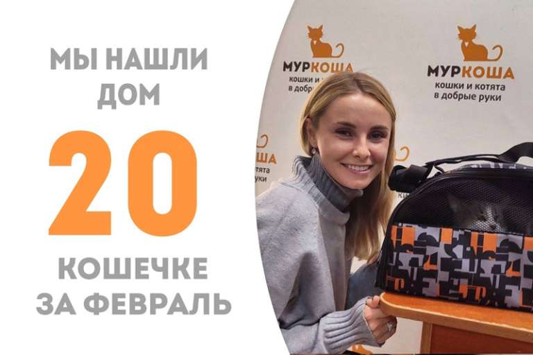 Хибина встретила свою добрую хозяйку!