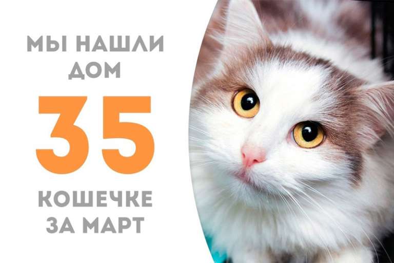 Провожаем домой чудесную Княженику!