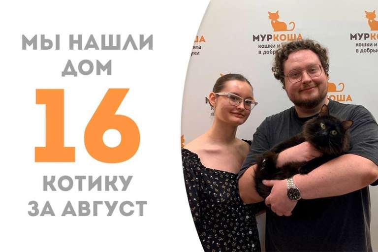 Коттабыч волшебным образом нашёл свою семью!