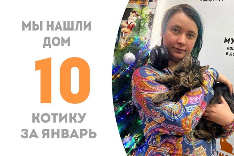 Чуть больше трех месяцев понадобилось Кутузу, чтобы завоевать сердце своей прекрасной хозяйки!