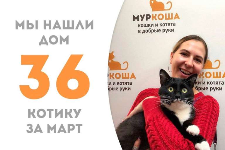 Спустя три месяца пребывания в приюте Лафет отправляется домой!