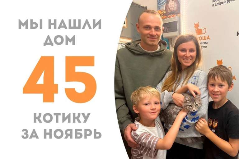 Чуть больше месяца потребовалось Ламбору, стобы стать домашним!