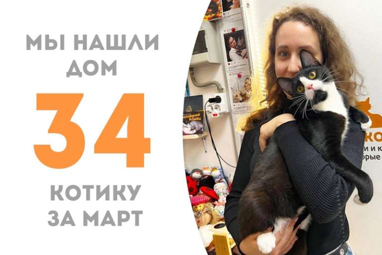 Нежный Латук распушил прекрасные щёки и устремился домой, где его ждёт наш выпускник Граве!