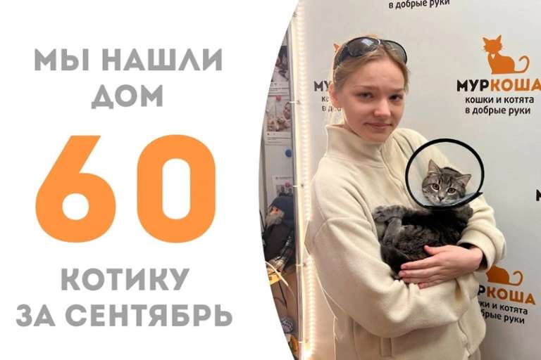 Лиссабон встретил замечательную хозяйку!
