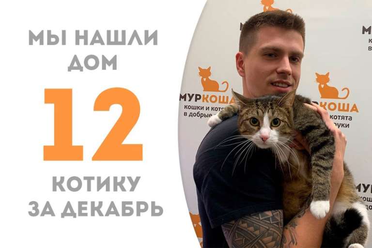 Безупречный Лотос становится домашним!