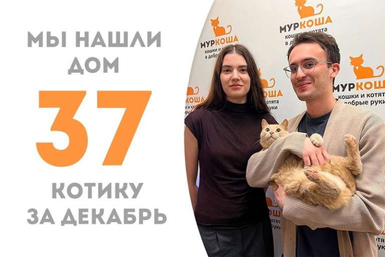 Золотой мальчик Мартын уехал домой!