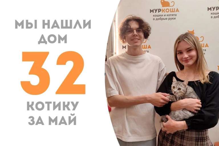 Маруф становится домашним!