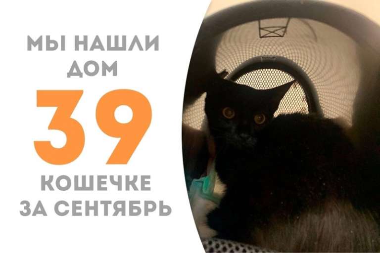 Мазератти стремится домой!