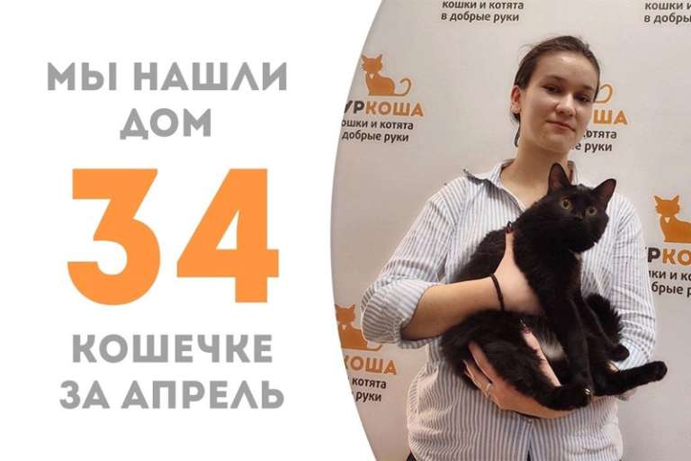 Ласковая Медолапка обворожила хозяйку!
