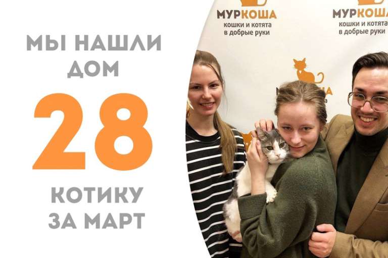 Мифодий обрел семью!