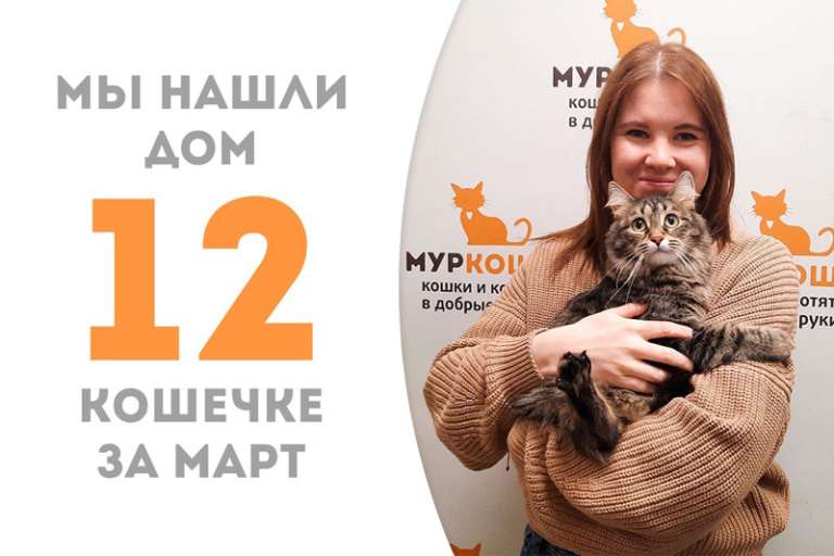 Наша очаровательная Мизуки стала домашней!