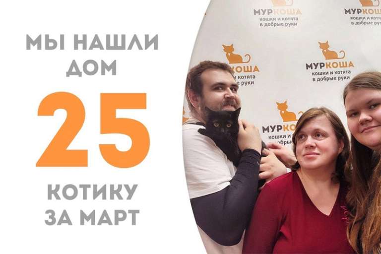 Малыш Момоша едет домой!