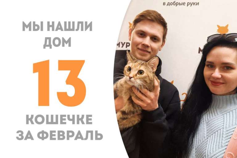 Морриган покидает наш приют, чтобы отправиться в свой новый дом!
