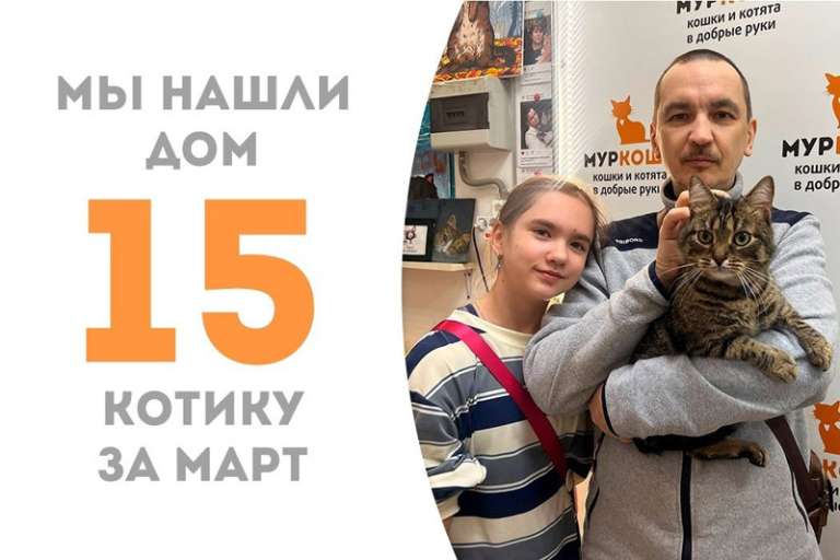 Всего три с небольшим месяца потребовалось Моржику, чтобы уехать в семью к нашей выпускнице Цыпе.