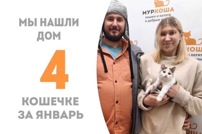 Милая Мурешна, не пробыв в приюте и двух недель, отправляется домой!