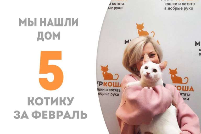Лапочка Мусяшкин становится домашним!