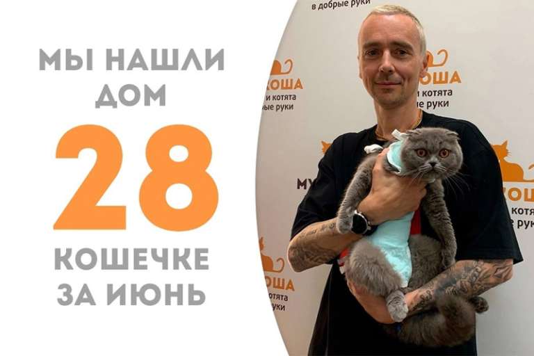 Меньше месяца потребовалось пышной Навассе, чтобы обрести семью!