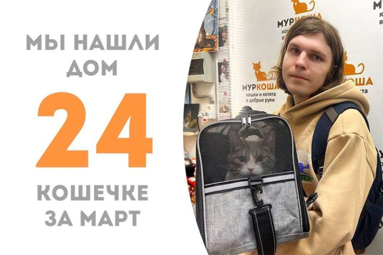 Кошечка Ниточка в надежных руках!