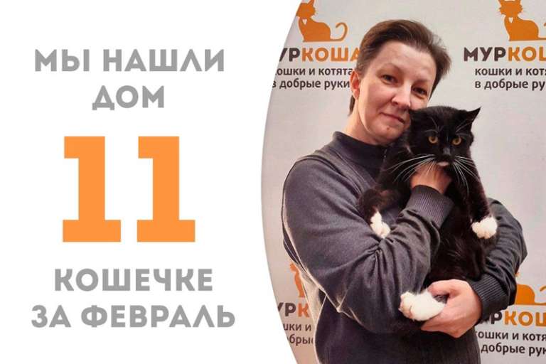 Прекрасная Ночка, проведя меньше месяца в приюте, отправляется домой!