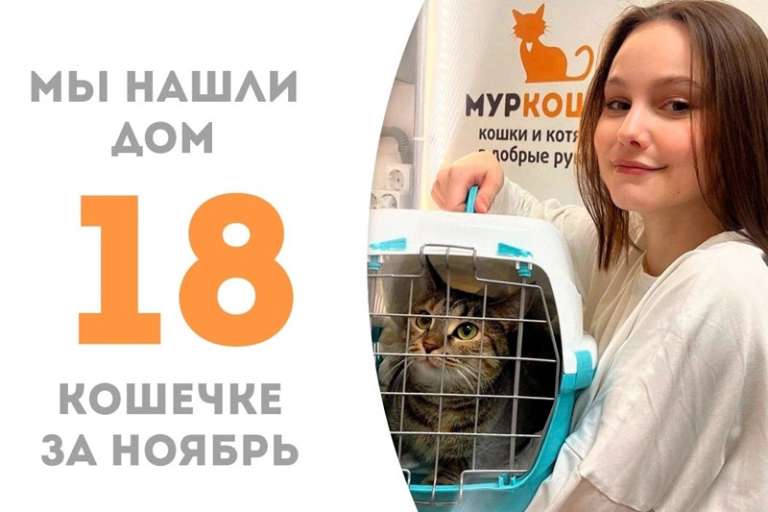 Паутинка обрела свой дом!