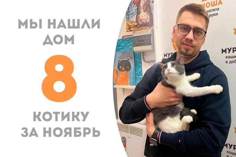 Котенок Пикачу встретил своего хозяина!