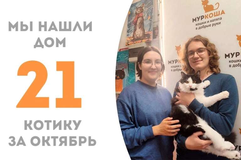 Пироженций теперь домашний!