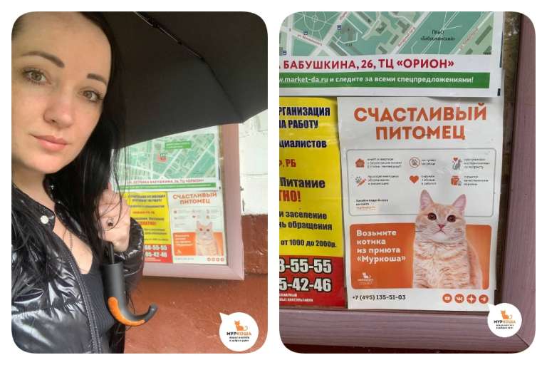 Плакаты "Муркоши"