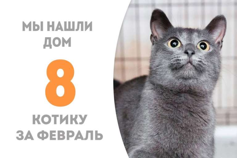 Плутос обрел домашнее счастье!