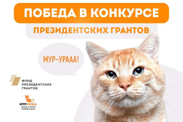 Победа в конкурсе президентских грантов!