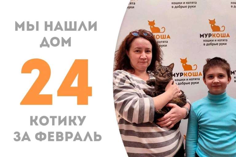 Всего два месяца – и чудесный Полосочкин снова домашний!