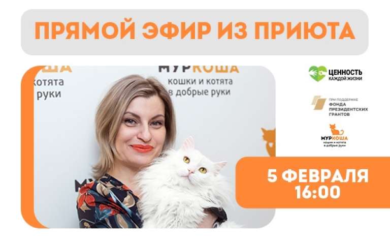 Проект обмена опытом. Прямой эфир из "Муркоши"