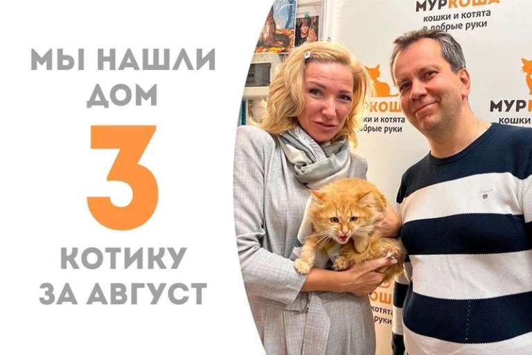 Пунш встретил свою семью!