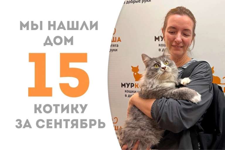 Рокуш становится счастливчиком!