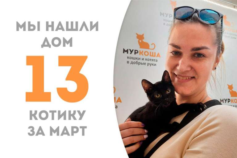 Рядовой отправляется домой, пробыв в приюте меньше двух месяцев!
