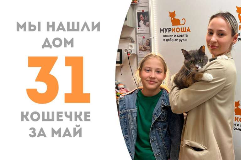 Попрощались с Сальвой!