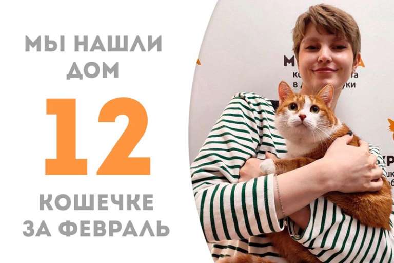 Сампа отправляется домой!